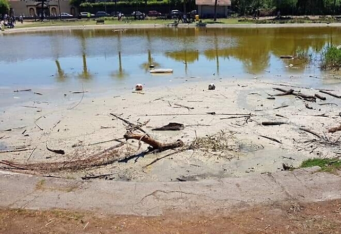 1621183775703_1623153576277