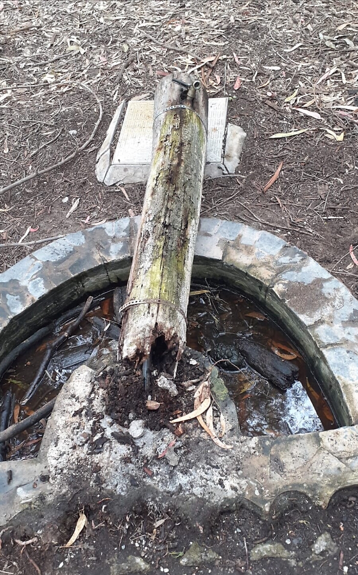 1621183775725_1623153577921