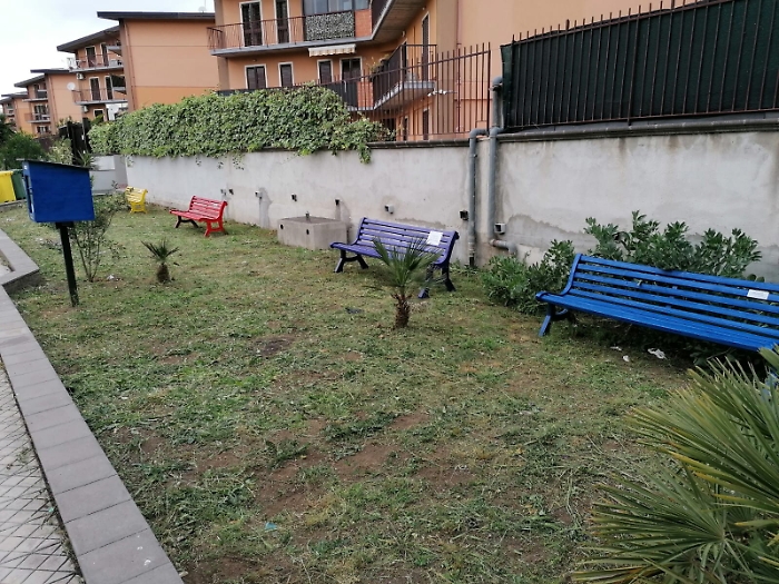 1621184233434_1623153589534