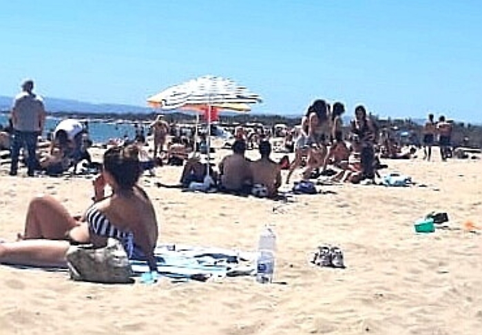 1621199228428_1623153556038