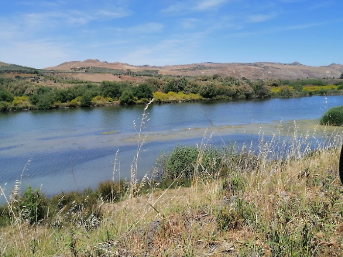 1621334521357_1623160960017