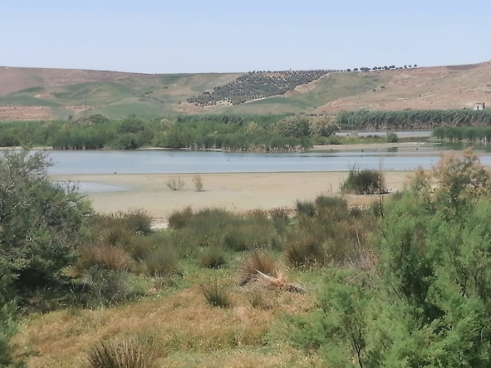 1621334521678_1623160963653