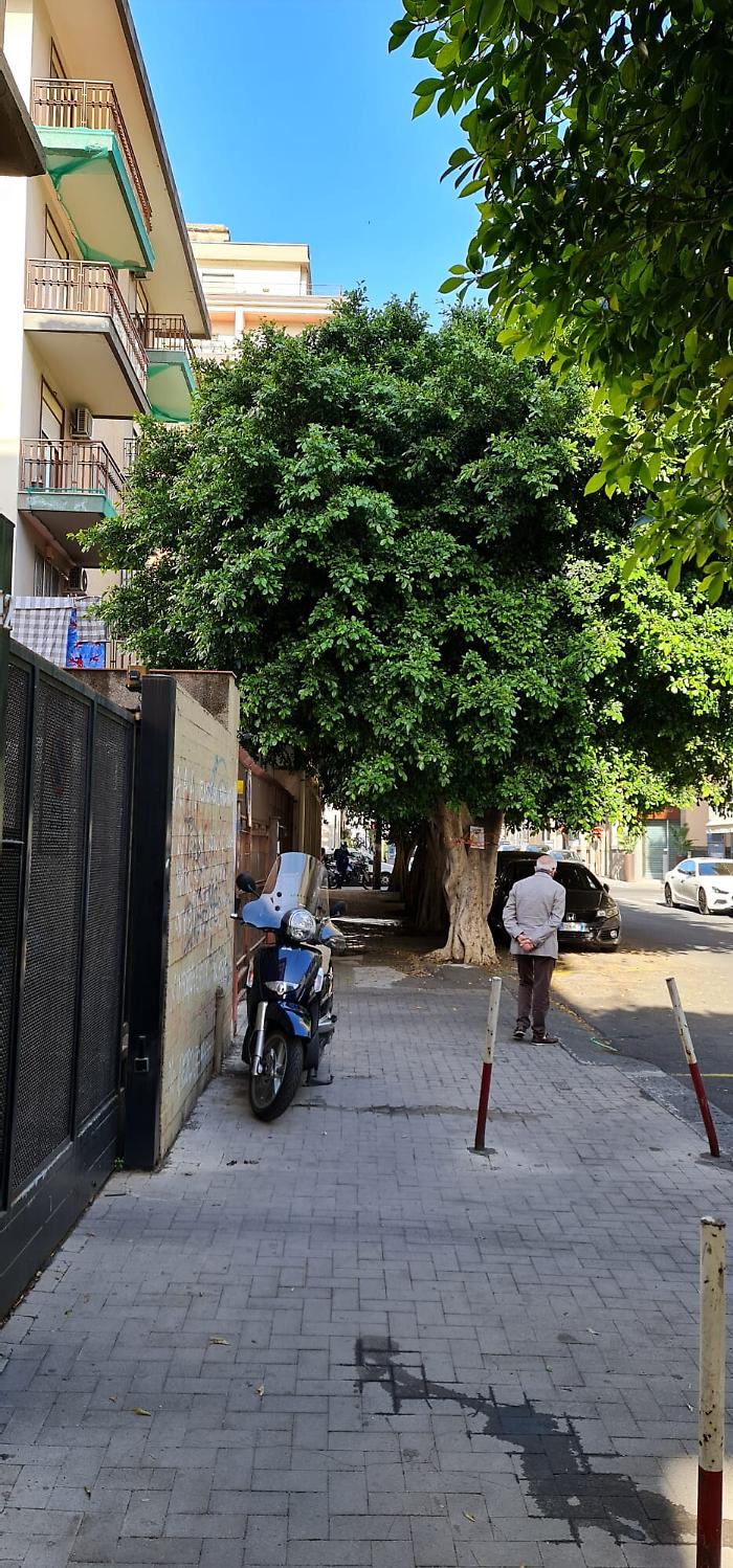 1621441890599_1623161037379