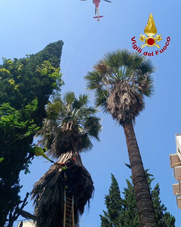 1621934775359_1623175470918