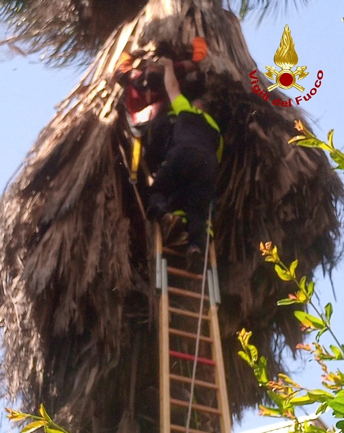 1621934778140_1623175473745