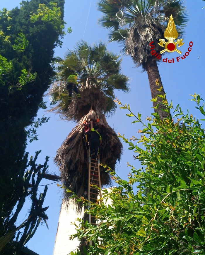 1621934797774_1623175480404