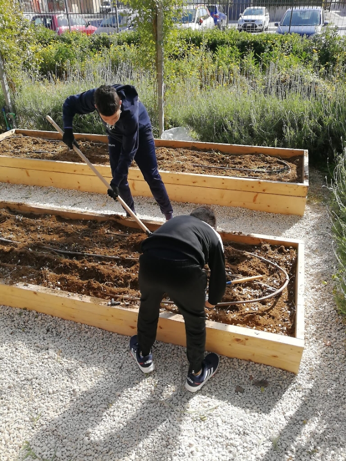 1622041136029_1623175686656