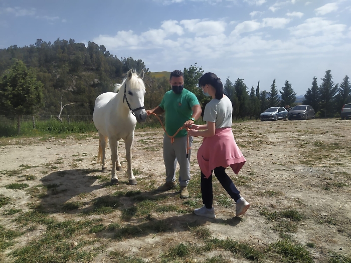 1622041138089_1623175692284