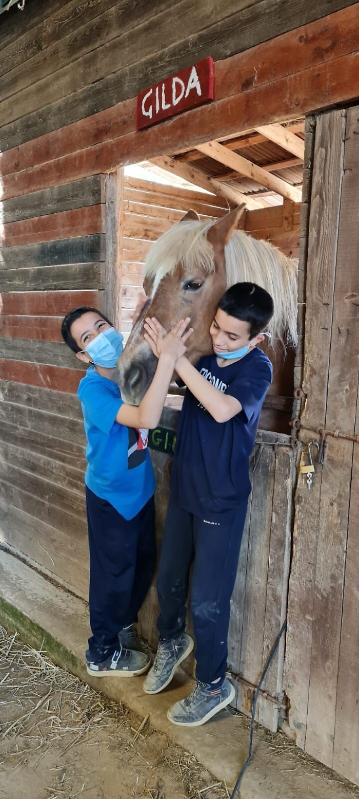 1622041140506_1623175701211