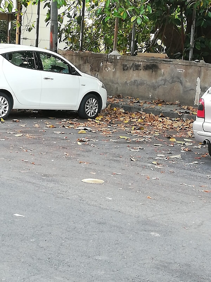 1622221823969_1623175867609