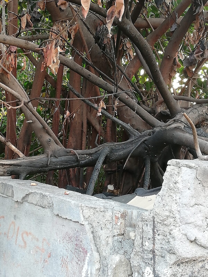 1622221824547_1623175849867