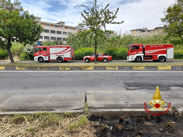 1622278671813_1623175910658