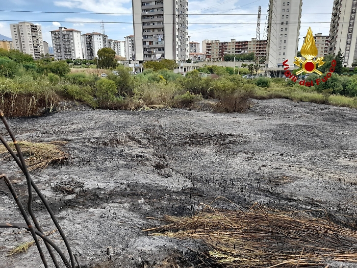 1622278673302_1623175914269