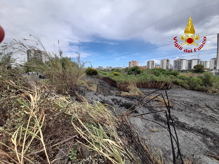 1622278707670_1623175917818