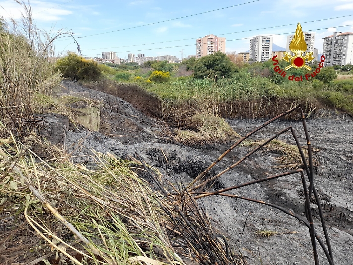 1622278715513_1623175922151