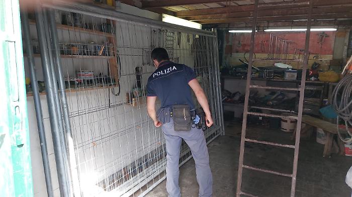 1622286229939_1623175934019