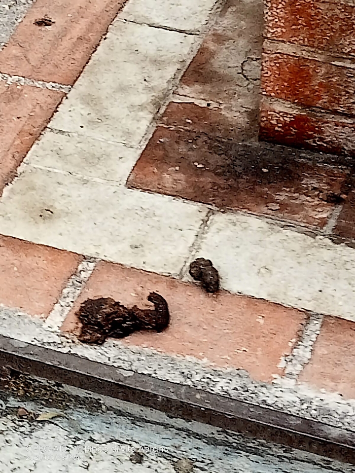 1622304198730_1623175971073