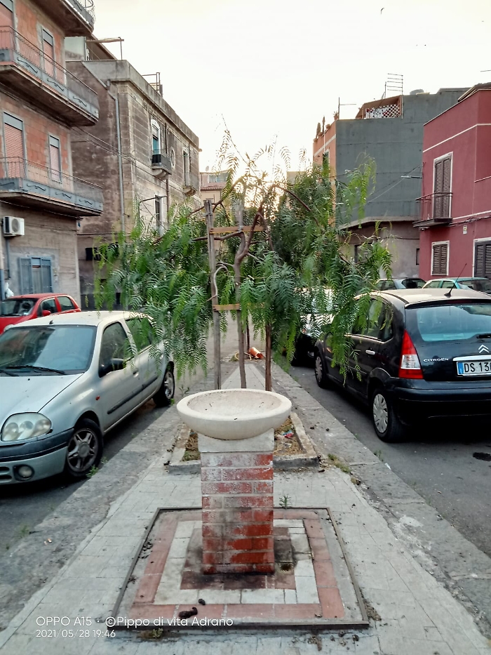 1622304200060_1623175967779