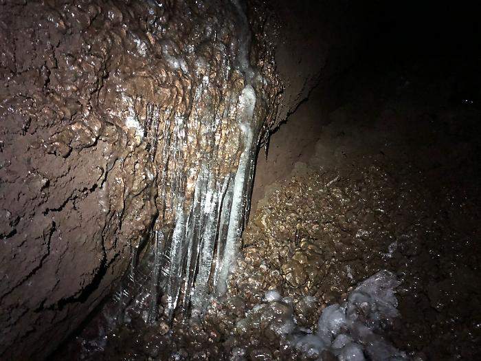 1622397553101_1623176096831