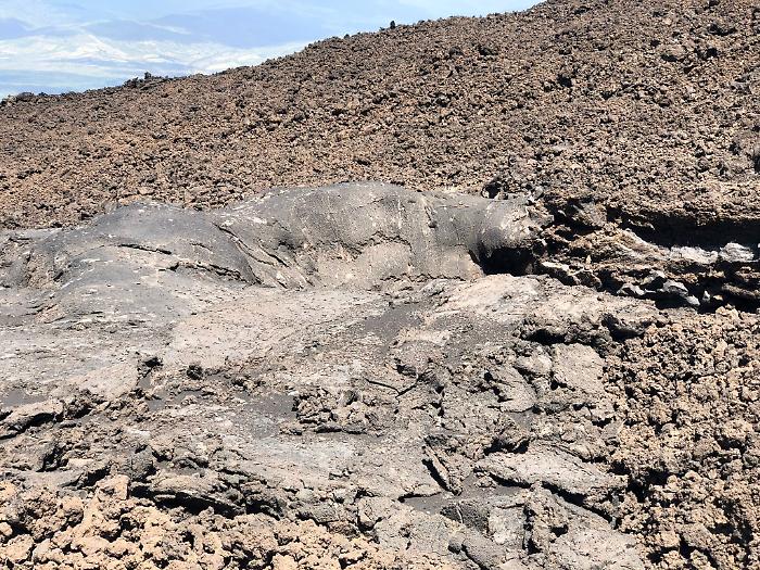 1622397558079_1623176108872