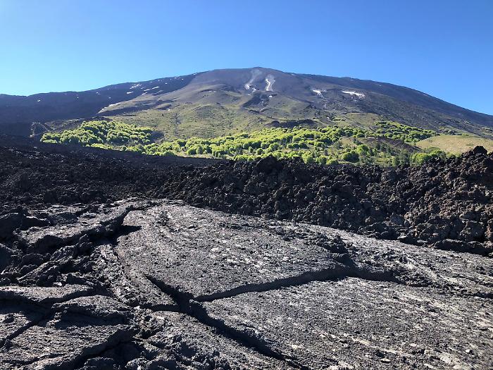 1622397561174_1623176117345