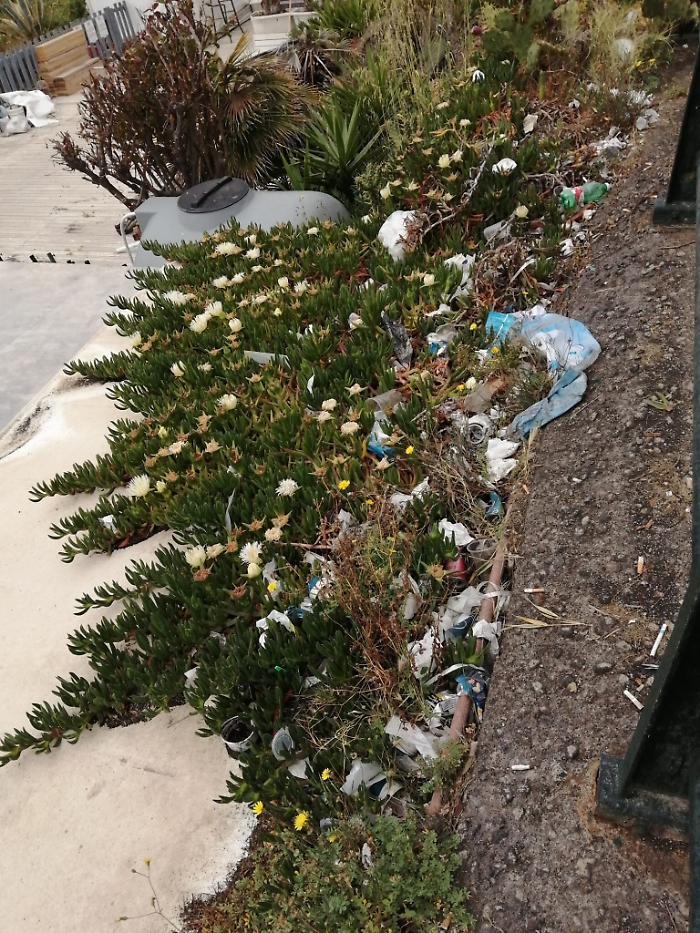 1622455657065_1623146698139