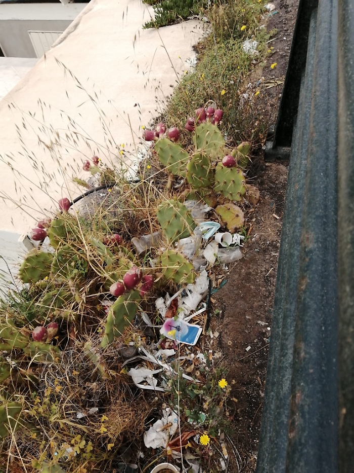 1622455658540_1623146701932