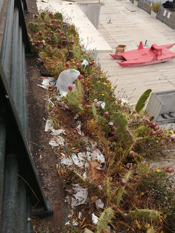 1622455660003_1623146694266