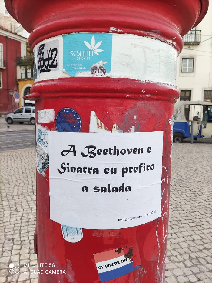 1622561980500_1623167486042