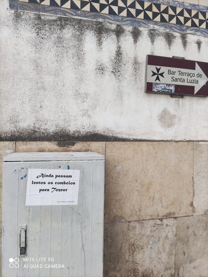 1622561985919_1623167500117