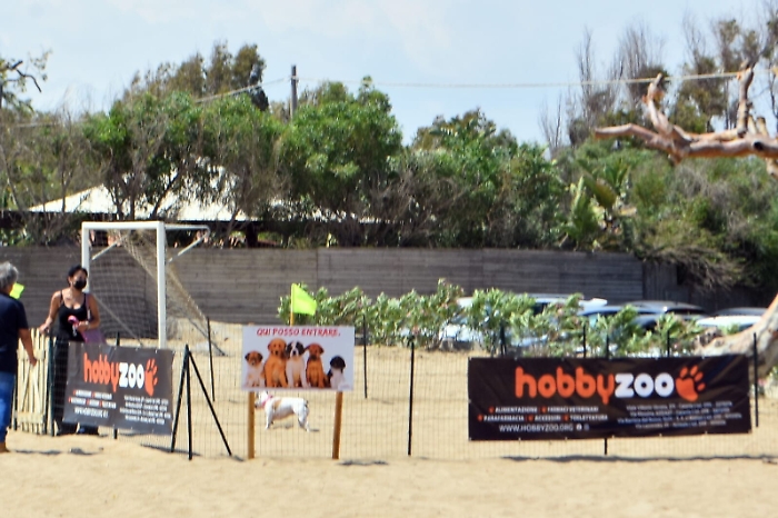 1622641173304_1623167571613