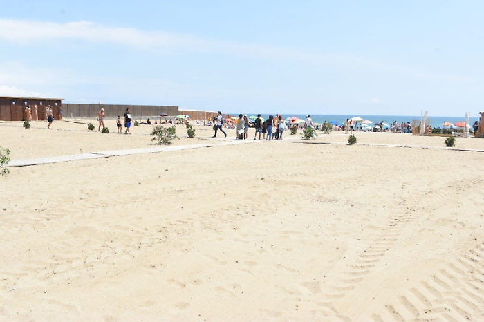 1622641176414_1623167576789