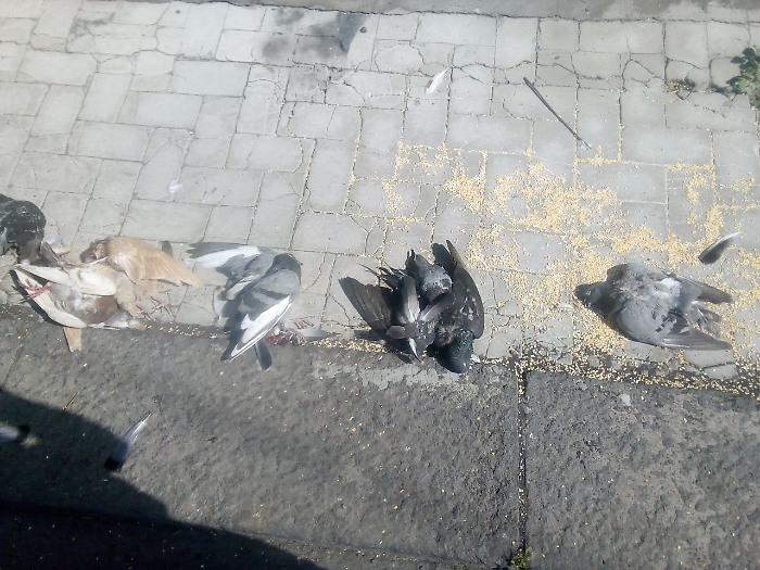 1622658415213_1623167634560