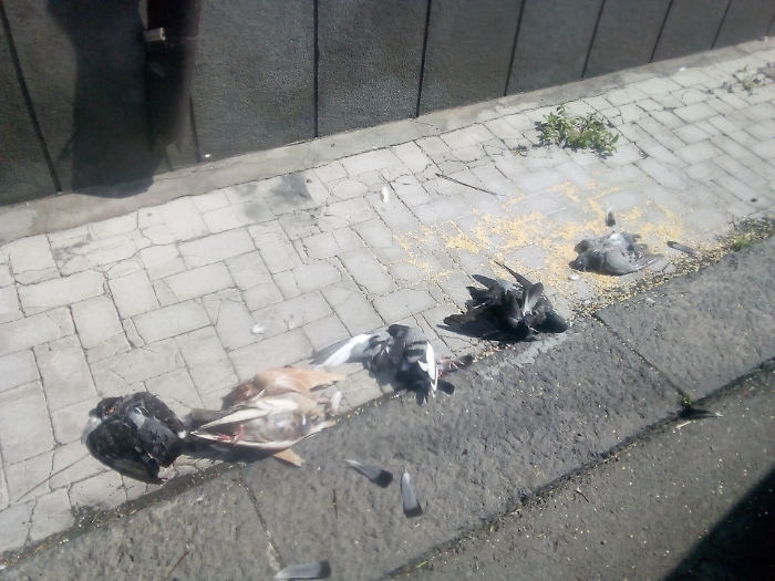 1622658389110_1623262991288