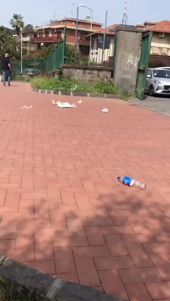 10172306-WhatsAppVideo2021-05-02at1946111mp4_1623316682410