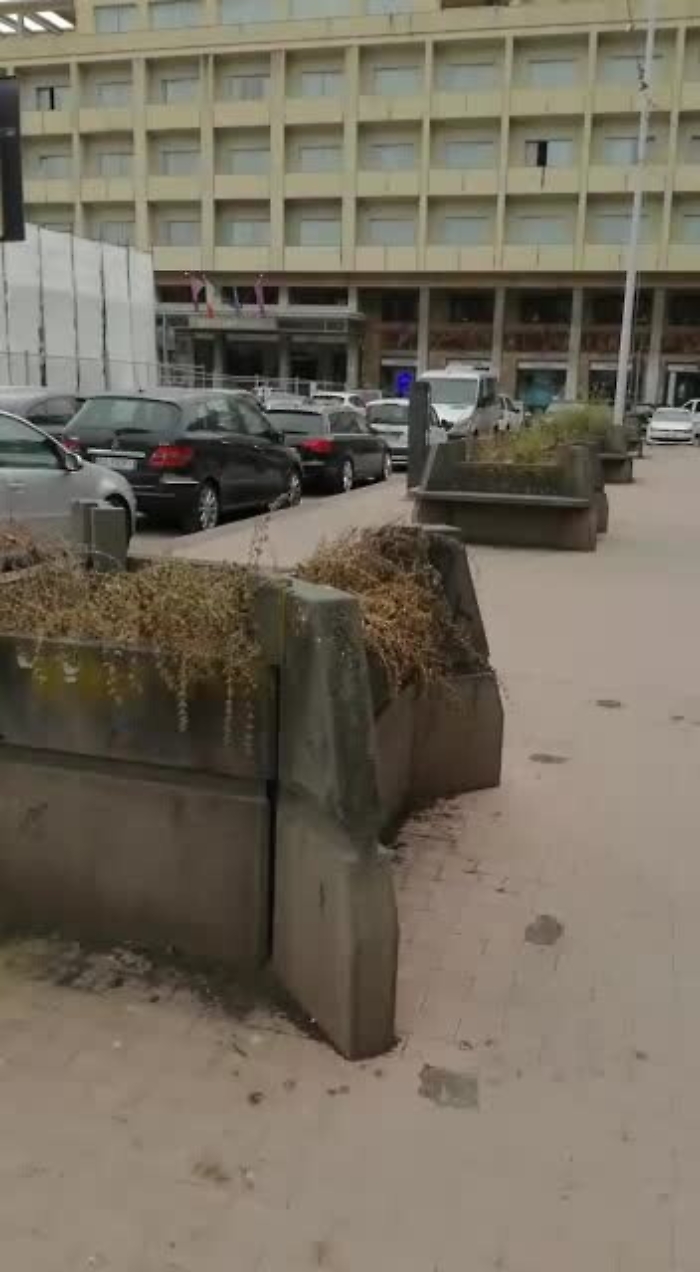 9062038-piazzavergamp4_1623316732212