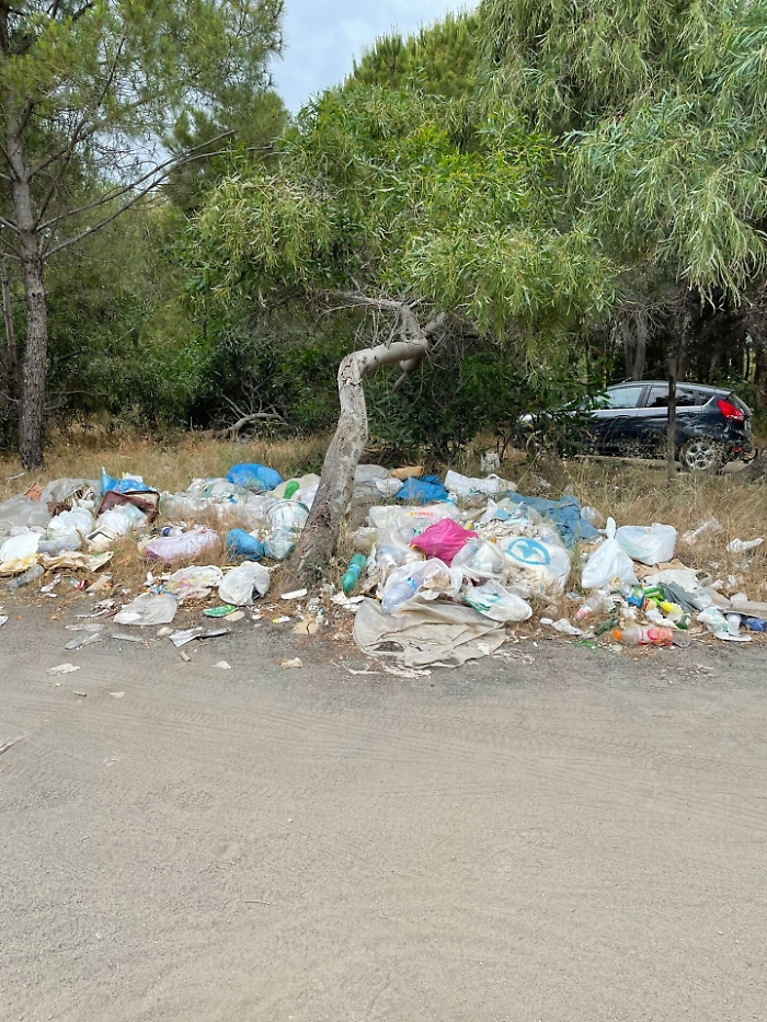 1622734564599_1623663212786