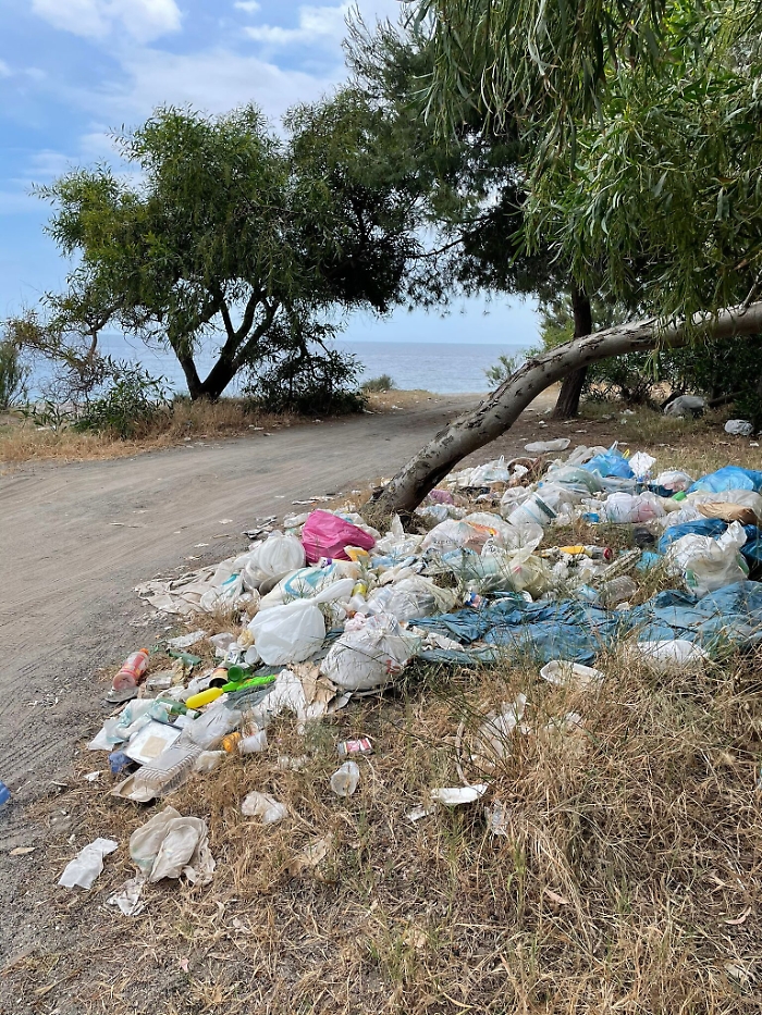 1622734566283_1623663221856