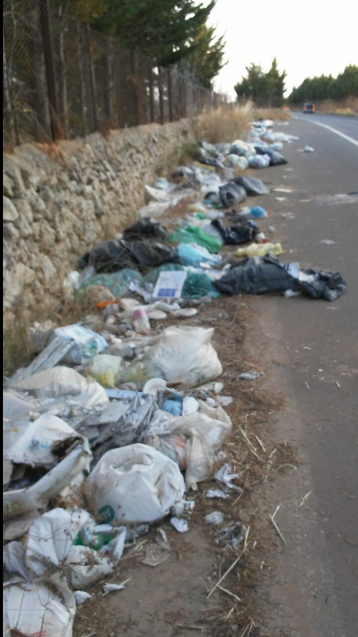 1622824189838_1622824218_1623663351829