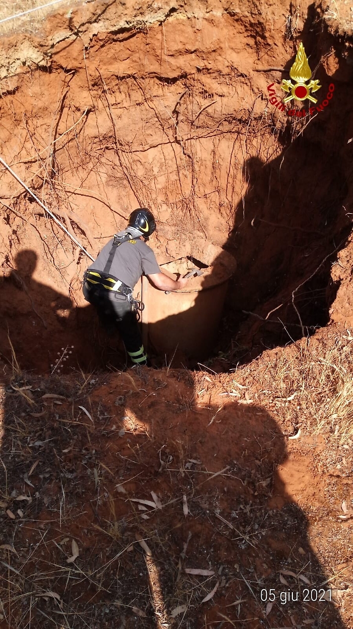 1622914400747_1623663451280