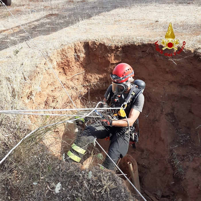 1622914401255_1623663456395