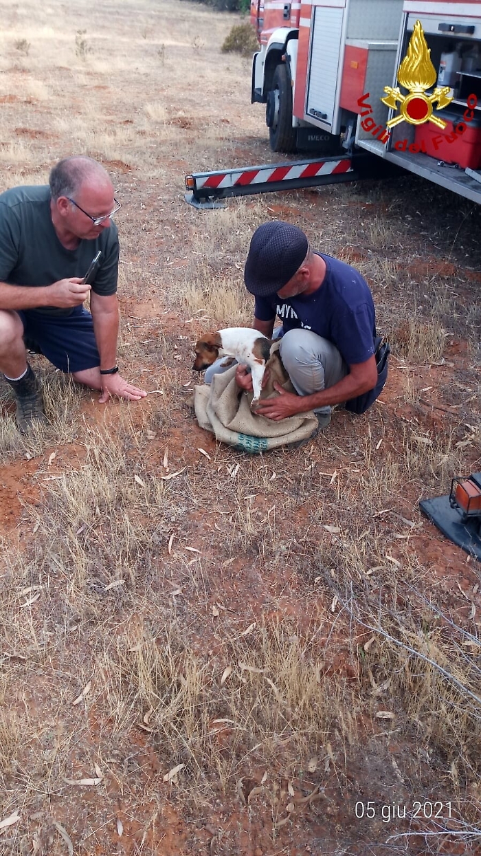 1622914401890_1623663462054