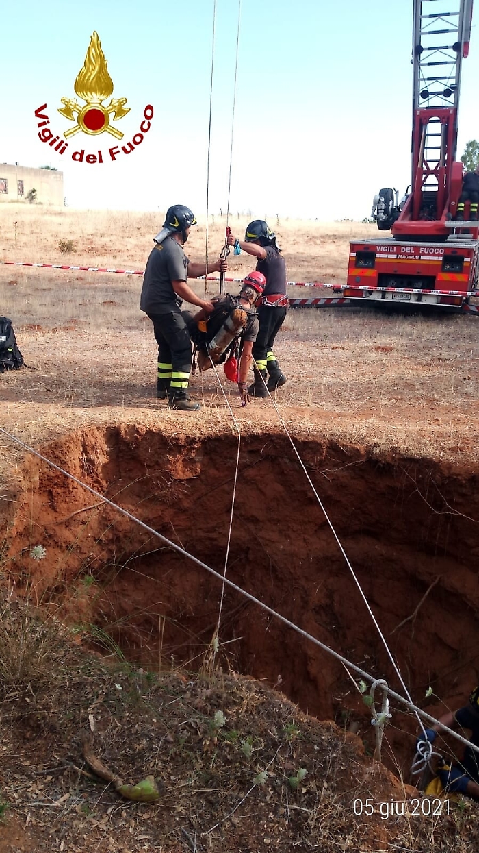 1622914402087_1623663446313