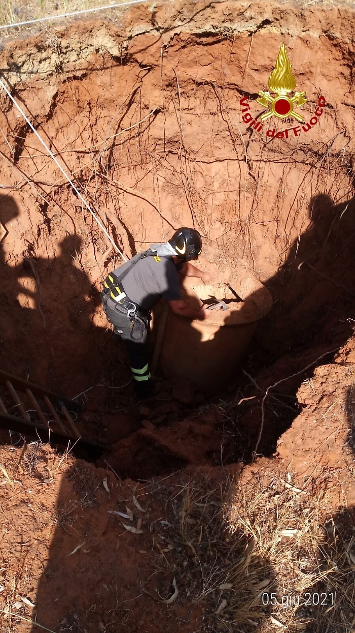 1622914402478_1623663464647