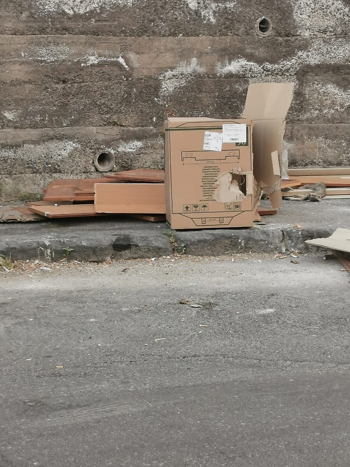 1623087873082_1623662508697