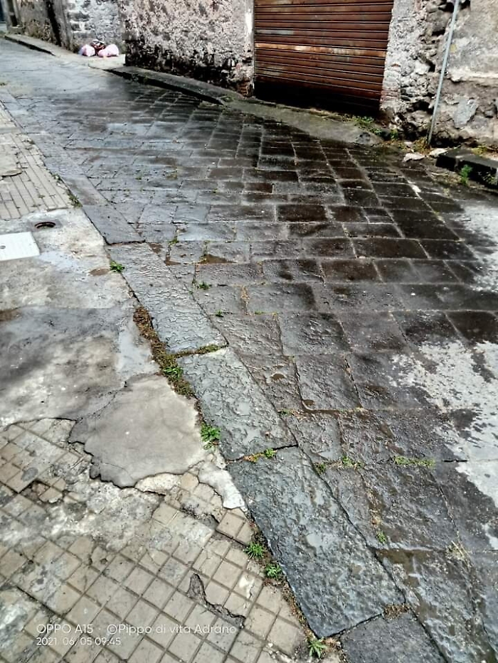 1623168028521_1623662669012