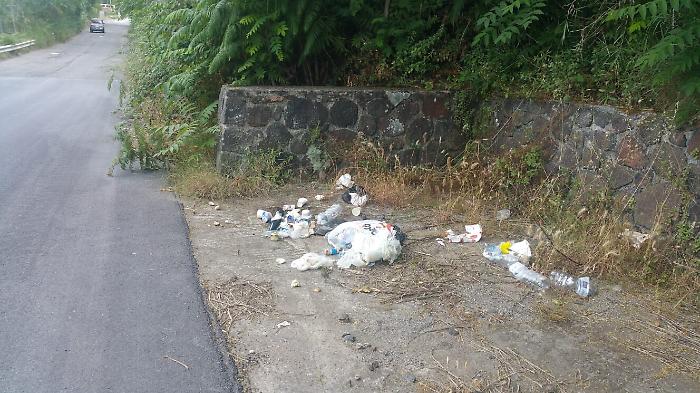 1623170437661_1623662697078