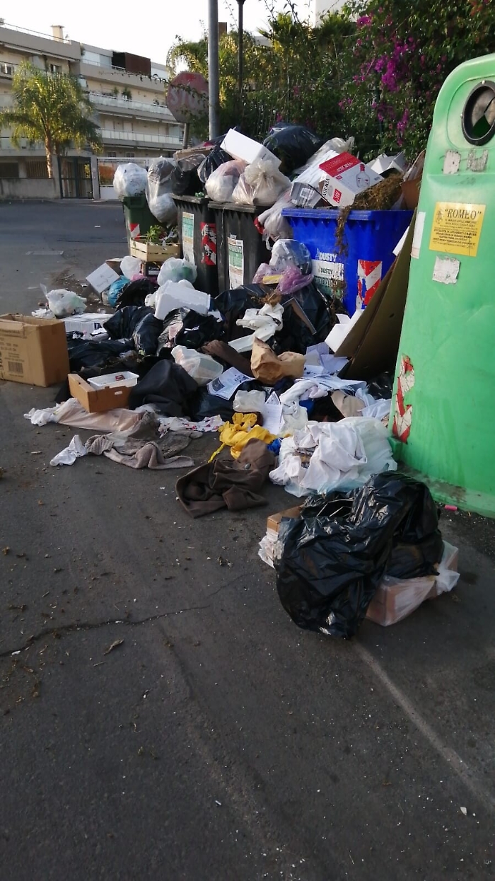 1623257065664_1623662776795