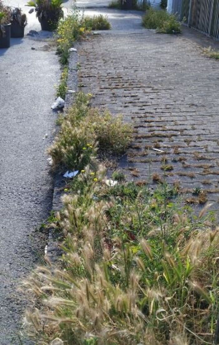 1623317002485_1623662824129