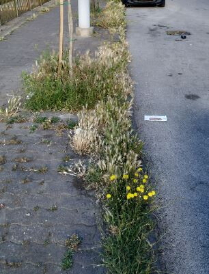 1623317002506_1623662825767